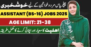 Punjab Assistant Jobs