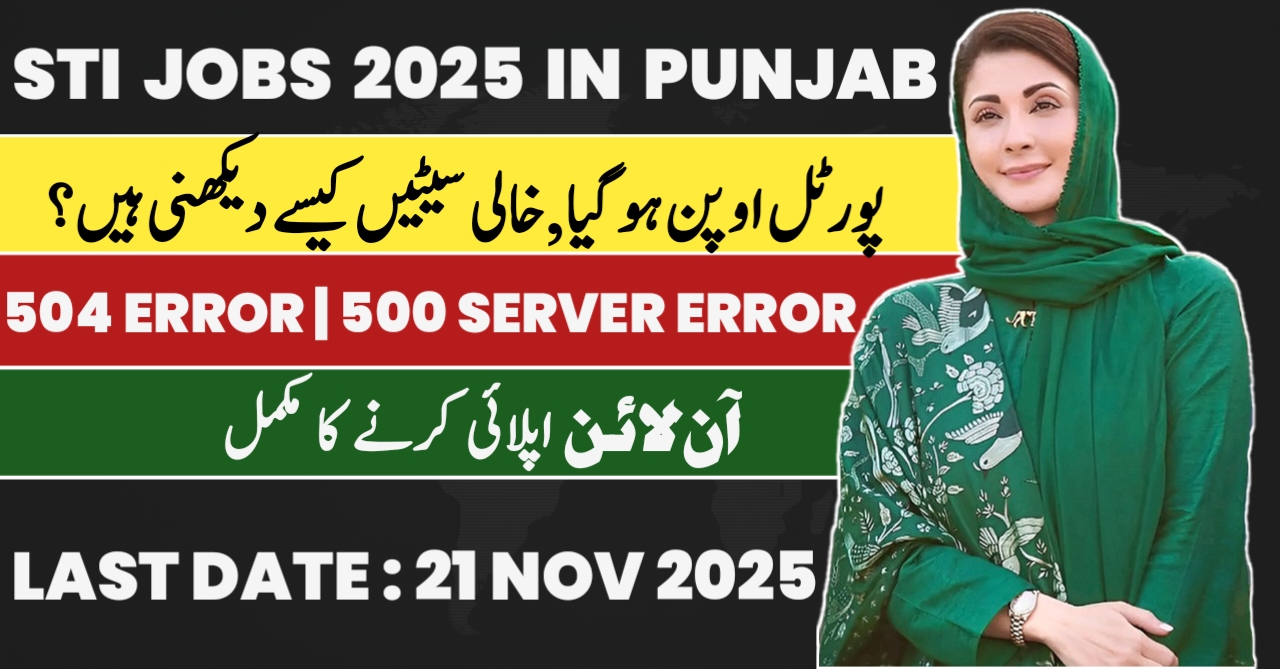 STI Job Portal Guide